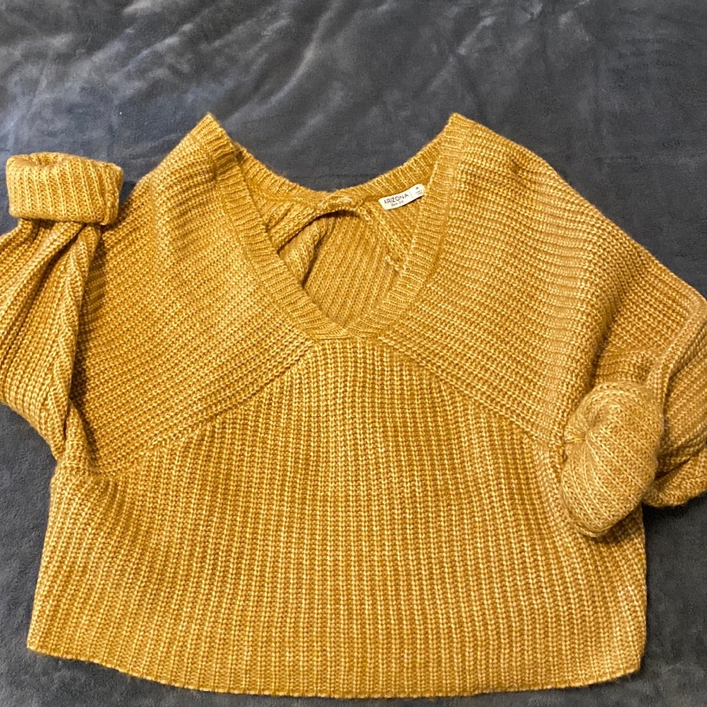 NWT Arizona crop sweater